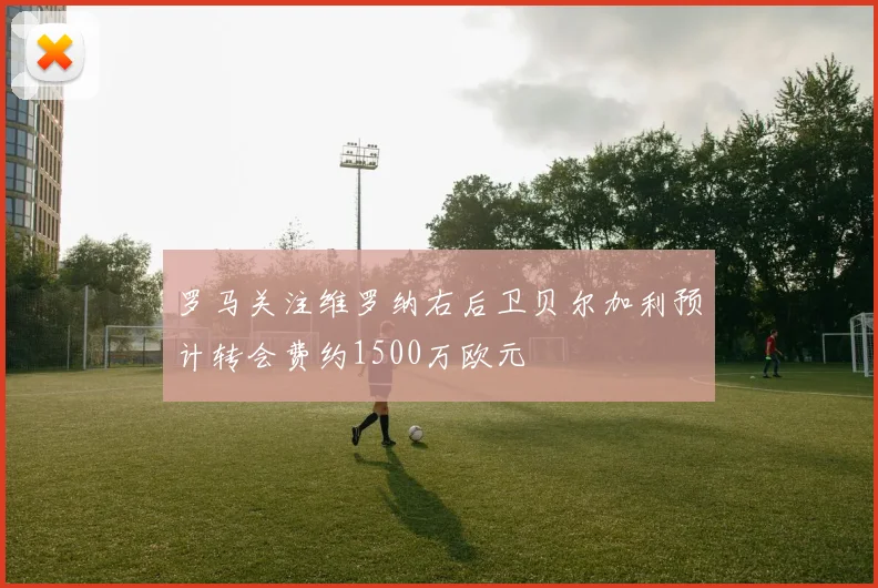 罗马关注维罗纳右后卫贝尔加利预计转会费约1500万欧元